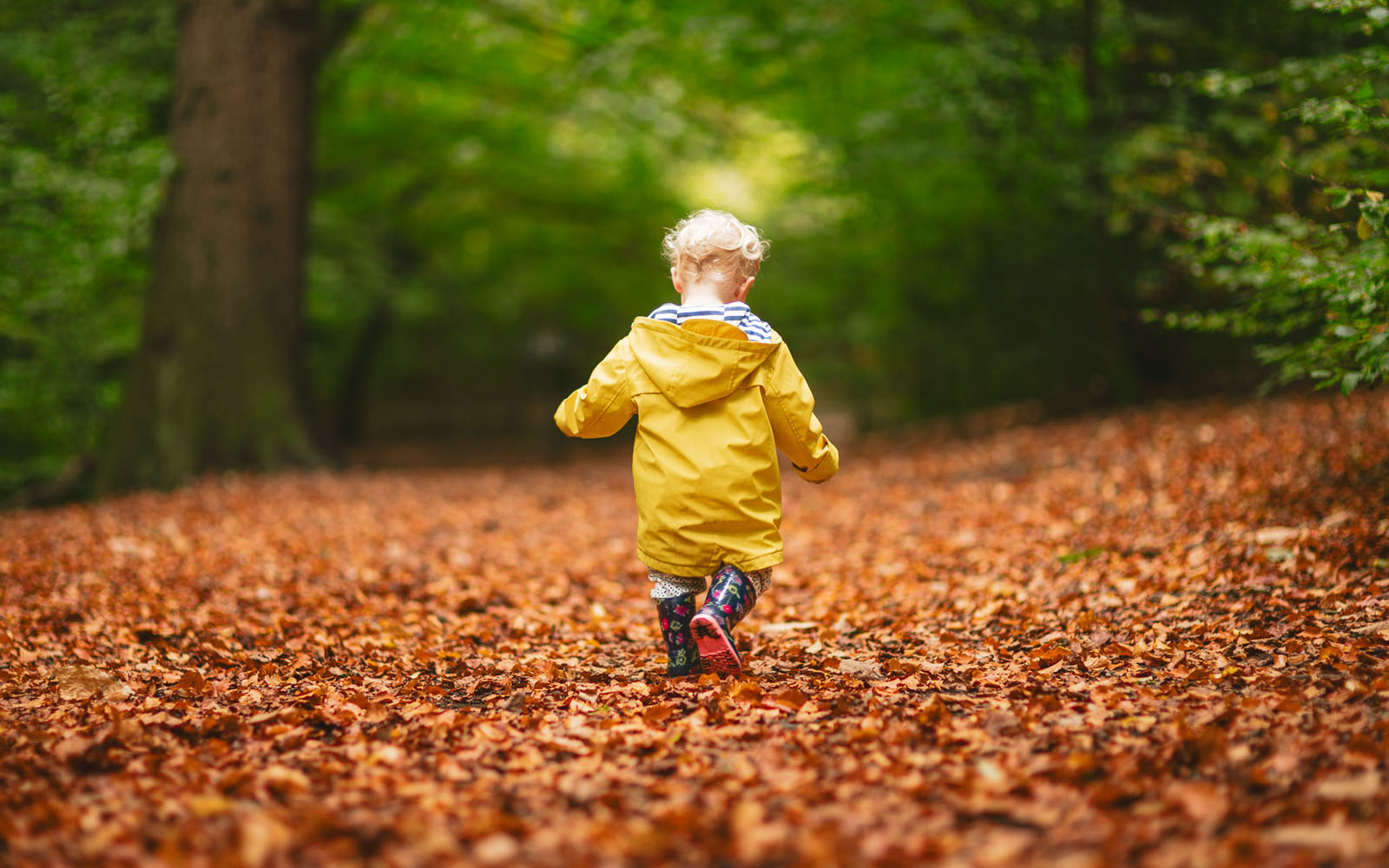 Young boy walking through the woods.